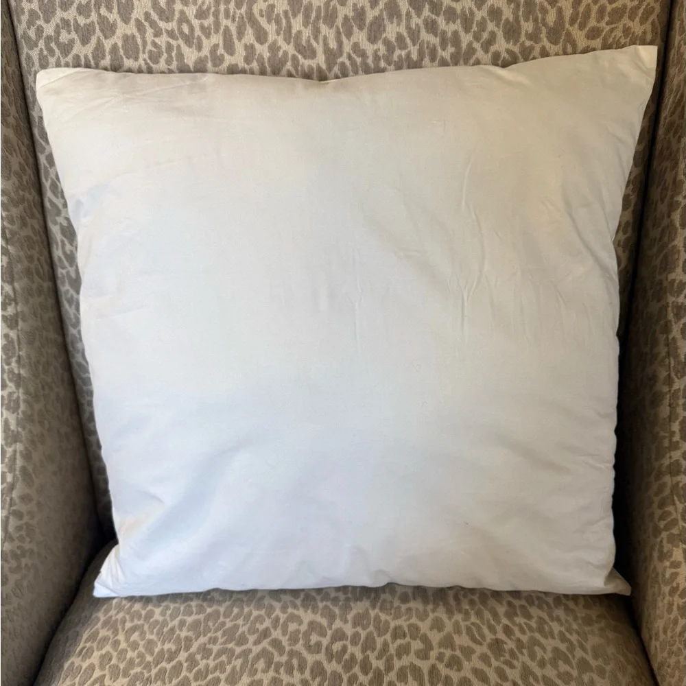 Pottery Barn 2 Pillow Inserts Size 20x20